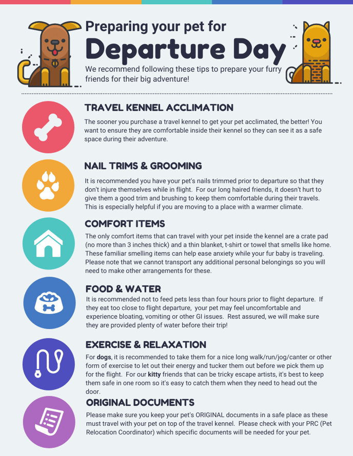 Preparing Your Pet for Departure Day